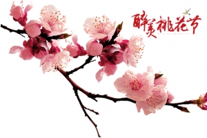 春天桃花节桃花图案