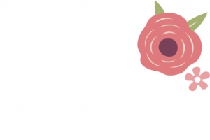 粉色蔷薇花装饰