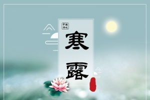 清新寒露节气海报背景psd