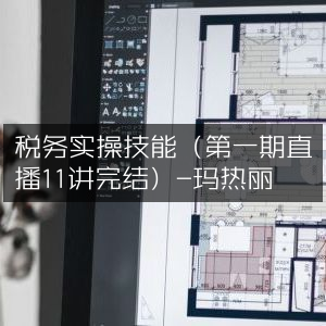 税务实操技能直播课（11讲完结·第一期）-玛热丽