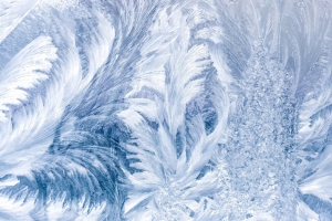 白雪花纹背景