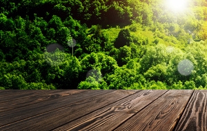 户外背景高清PNG透明素材-banner海报设计免费下载