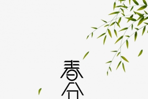 春天春分柳树燕子绿叶