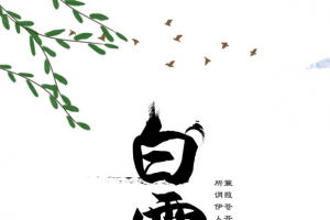 白露秋季树枝白鹭草地