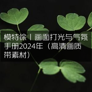 2024模特徐打光气氛手册，高清画质素材全集