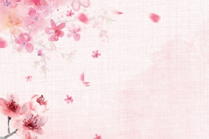 粉色花朵banner
