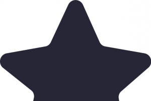 icon_评价_星星