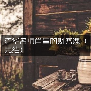 清华名师肖星精讲财务课程（已完结）
