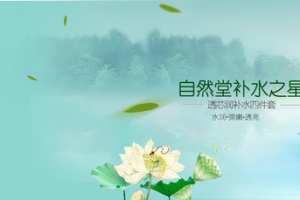 小清新荷塘背景