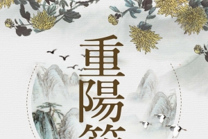 中国风重阳节促销海报