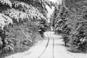 树木 森林 雪 道路 冬天 自然 4k壁纸 3840x2160
