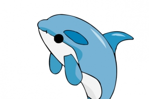 可爱海豚