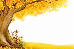 秋天植物树林文艺黄色banner