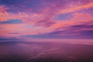 黄昏 海 鸟 天空 美丽的 4k壁纸 3840x2160