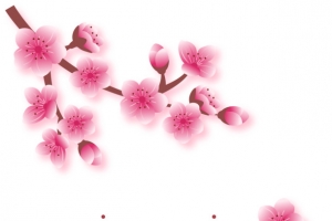 卡通花卉花朵手绘装饰