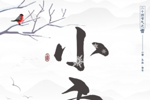 冬天小雪树枝鸟二十四节气