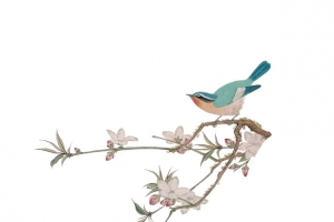 手绘花枝喜鹊图片