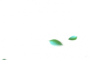 飘浮树叶元素