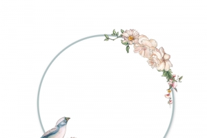 水彩彩色鲜花花卉边框装饰高清PNG透明素材免费下载