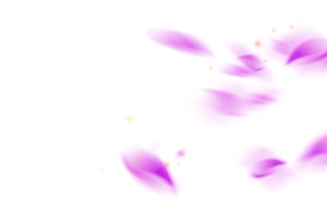 紫色唯美花瓣飘落