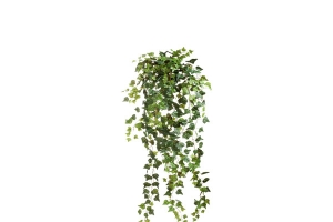 蓬松墙头草爬山虎装饰
