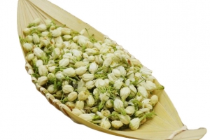 创意茉莉花茶盛放