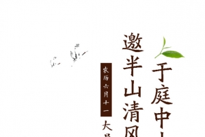 大暑邀半山清风于庭中小酌