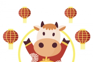 牛年第一弹-6