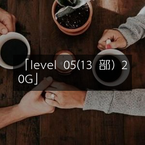 第05级（13部分）20GB资源