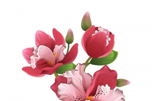 花，花朵，淘宝素材，花絮，矢量