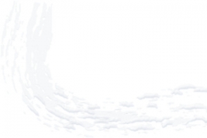 白色积雪