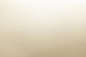 人工皮质   banner