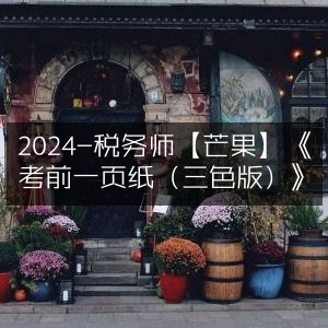 2024税务师《考前一页纸（三色版）》-芒果精编
