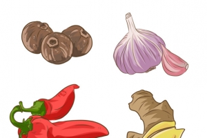 免扣手绘调料食材png