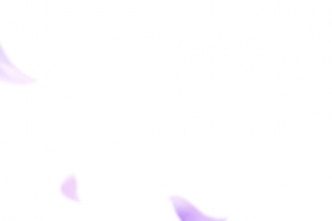 淡紫色花瓣飘落