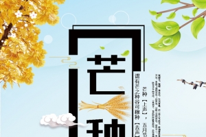 芒种海报背景图片