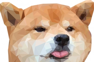 棱角柴犬不规则