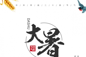 大暑传统节气小麦燕子