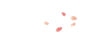 粉嫩花瓣免扣背景png元素