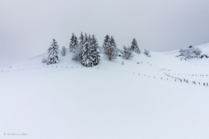 山丘 雪 树 云杉 冬季 4k壁纸 3840x2160