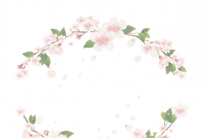 矢量花卉花朵花框