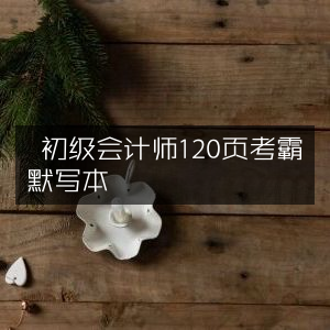 初级会计师高效备考，120页考霸精华默写手册