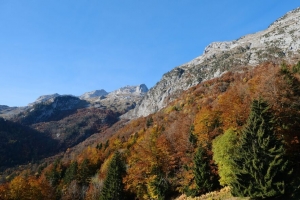 山脉 树木 斜坡 秋天 风景 4k壁纸 3840x2160