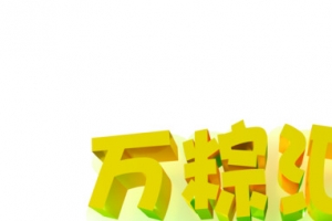端午粽动员万粽汇聚