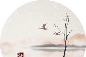 传统二十四节气