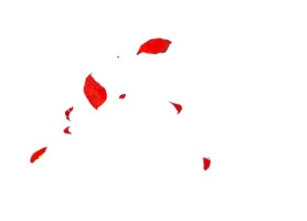 花瓣
