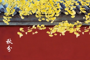 秋分背景banner