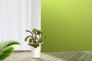 绿色折扣清洁卫生banner