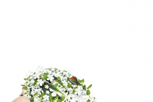 3.8女神节创意花瓣花纹