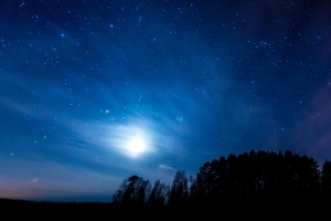 夜晚星空树林3440x1440风景壁纸